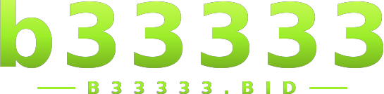 b33333 logo